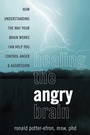 Cover: Healing the Angry Brain - New Harbinger Publications