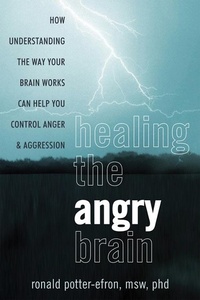 Enlarge image Cover: Healing the Angry Brain - New Harbinger Publications