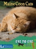 Cover: Maine Coon Cats - Britannica Digital Learning