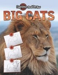 Enlarge image Cover: Big Cats, Drawing and Reading - Rourke Publishing