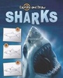 Cover: Sharks, Drawing and Reading - Rourke Publishing