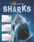 Cover: Sharks, Drawing and Reading - Rourke Publishing