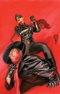 Cover: The Shadow Volume 2: Revolution - Dynamic Forces Inc
