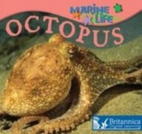 Enlarge image Cover: Octopus - Britannica Digital Learning