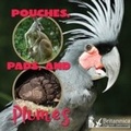 Cover: Pouches, Pads, and Plumes - Britannica Digital Learning