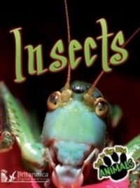 Enlarge image Cover: Insects - Britannica Digital Learning