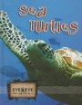 Cover: Sea Turtles - Rourke Publishing