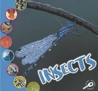 Enlarge image Cover: Insects - Rourke Publishing