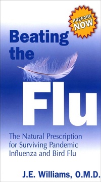 Enlarge image Cover: Beating the Flu - Hampton Roads Publishing