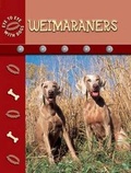 Cover: Weimaraners - Rourke Publishing