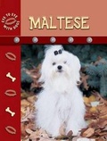 Cover: Maltese - Rourke Publishing