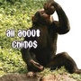 Cover: All about Chimps - Rourke Publishing
