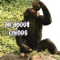 Cover: All about Chimps - Rourke Publishing