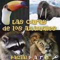 Cover: Las Caras de Los Animales - Rourke Publishing