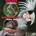Cover: Bolsas, Almohadillas Y Penachos - Rourke Publishing