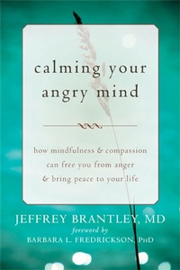 Enlarge image Cover: Calming Your Angry Mind - New Harbinger Publications