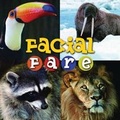Cover: Facial Fare - Rourke Publishing