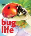 Cover: Bug Life - Insight Kids