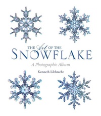 Abbildung von: Art of the Snowflake - Voyageur Press