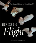 Cover: Birds in Flight - Voyageur Press