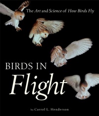 Enlarge image Cover: Birds in Flight - Voyageur Press