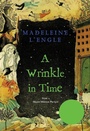 Cover: A Wrinkle in Time - Square Fish