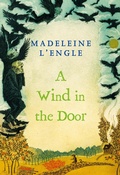 Cover: A Wind in the Door - St Martin's Press