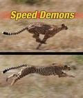 Cover: Speed Demons - Rourke Publishing