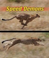 Enlarge image Cover: Speed Demons - Rourke Publishing