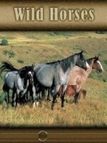 Cover: Wild Horses - Rourke Publishing