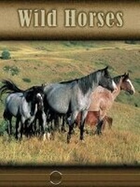 Enlarge image Cover: Wild Horses - Rourke Publishing