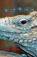 Cover: Blue Iguana - Namelos