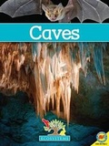 Cover: Caves - Av2 by Weigl
