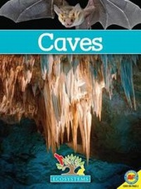 Enlarge image Cover: Caves - Av2 by Weigl