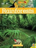 Cover: Rainforests - Av2 by Weigl