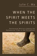 Cover: When the Spirit Meets the Spirits - Wipf & Stock Publishers