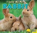 Cover: Rabbit - Av2 by Weigl