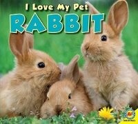 Enlarge image Cover: Rabbit - Av2 by Weigl