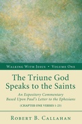 Cover: The Triune God Speaks to the Saints - Wipf & Stock Publishers