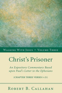 Enlarge image Cover: Christ's Prisoner - Wipf & Stock Publishers
