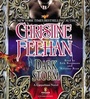 Cover: Dark Storm - Penguin Audiobooks