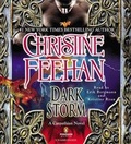 Cover: Dark Storm - Penguin Audiobooks