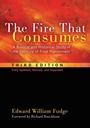 Cover: The Fire That Consumes - Wipf & Stock Publishers