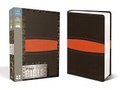 Cover: NIV, Boys Bible, Leathersoft, Brown/Orange - Zonderkidz