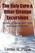 Cover: The Only Cure & Other Strange Excursions - Wordclay
