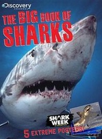 Enlarge image Cover: The Big Book of Sharks - Liberty Street