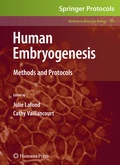 Bild: Human Embryogenesis - Humana Press Inc.