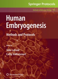 Abbildung von: Human Embryogenesis - Humana Press Inc.