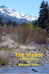 Enlarge image Cover: Visitor - Maryann Miller