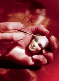 Cover: Harry O. Morris: Artist's Portfolio - Centipede Press